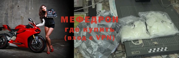 прущие грибы Богданович