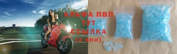 стаф Богородск