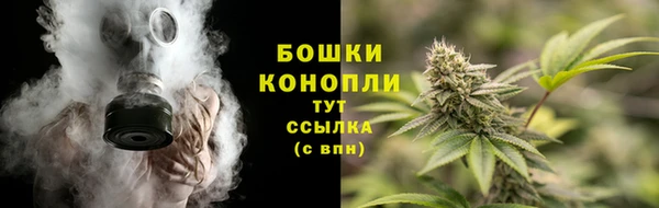 прущие грибы Богданович