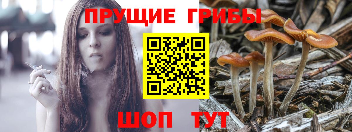 Псилоцибиновые грибы Psilocybe  Вход с VPN  Галлюциногенные грибы прущие грибы  Бутурлиновка 